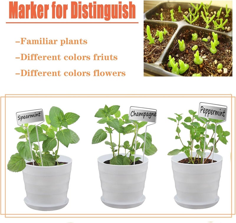 GHAMYEE 30pcs Plant Labels Plant Markers for Outdoor Plants 6inch Plant Labels for Seedlings Outdoor Garden Waterproof Plant Tags and Labels for Flower Vegetable Herbs Greenhouse (6 in, Silver) - Image 3